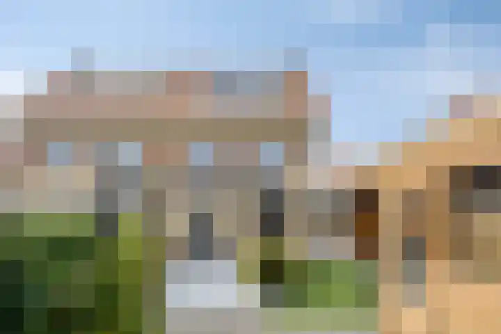 Wijngaard 67 Dronten thumbnail 36