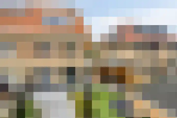 Wijngaard 67 Dronten thumbnail 37