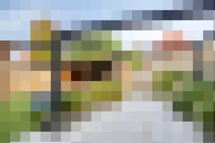 Wijngaard 67 Dronten thumbnail 38