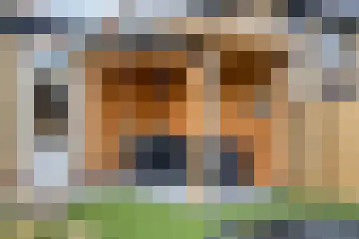 Wijngaard 67 Dronten thumbnail 40