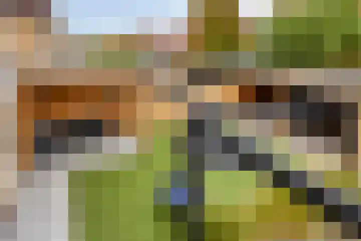 Wijngaard 67 Dronten thumbnail 41