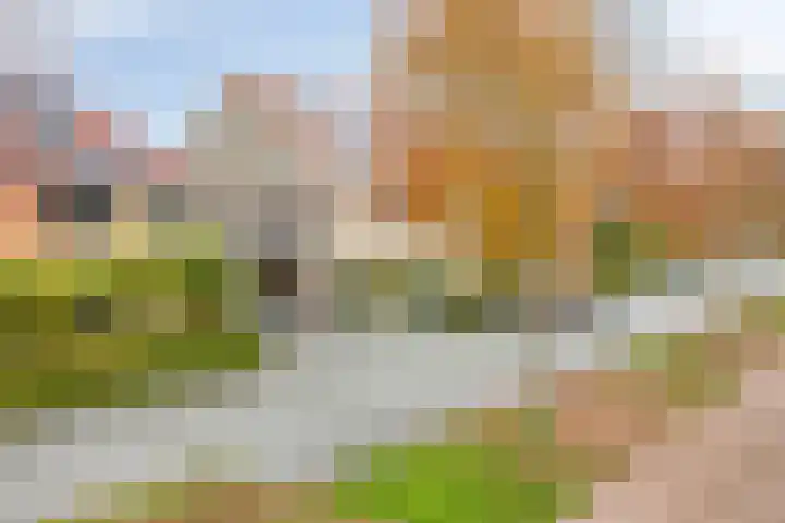 Wijngaard 67 Dronten thumbnail 44