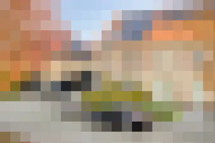 Wijngaard 67 Dronten thumbnail 45