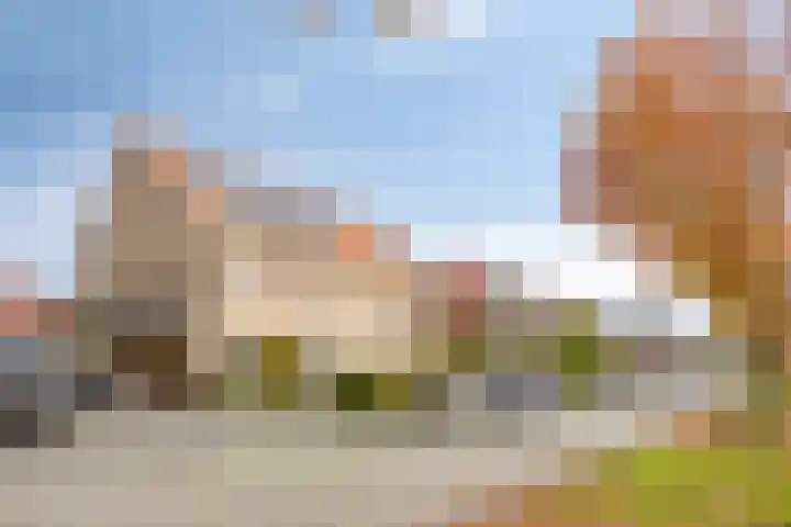 Wijngaard 67 Dronten thumbnail 46