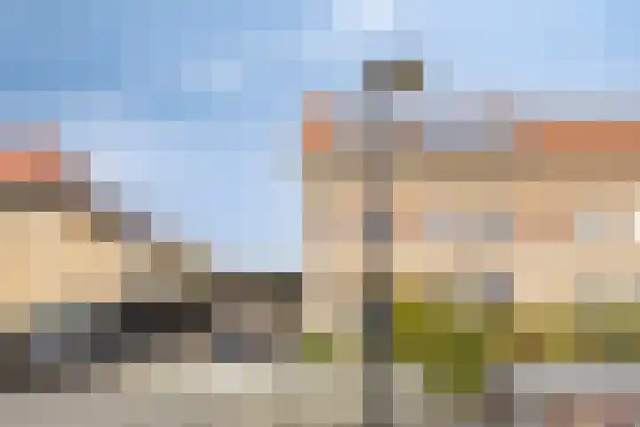 Wijngaard 67 Dronten thumbnail 47