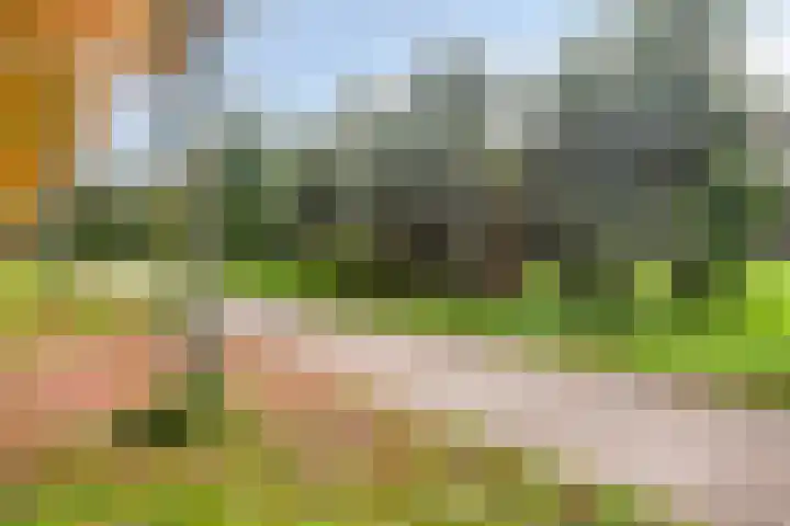Wijngaard 67 Dronten thumbnail 48
