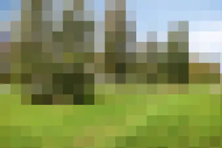 Wijngaard 67 Dronten thumbnail 49