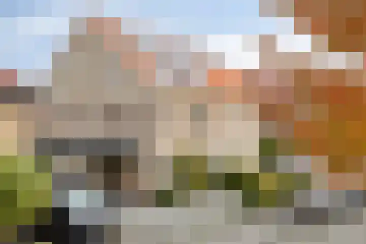 Wijngaard 67 Dronten thumbnail 5