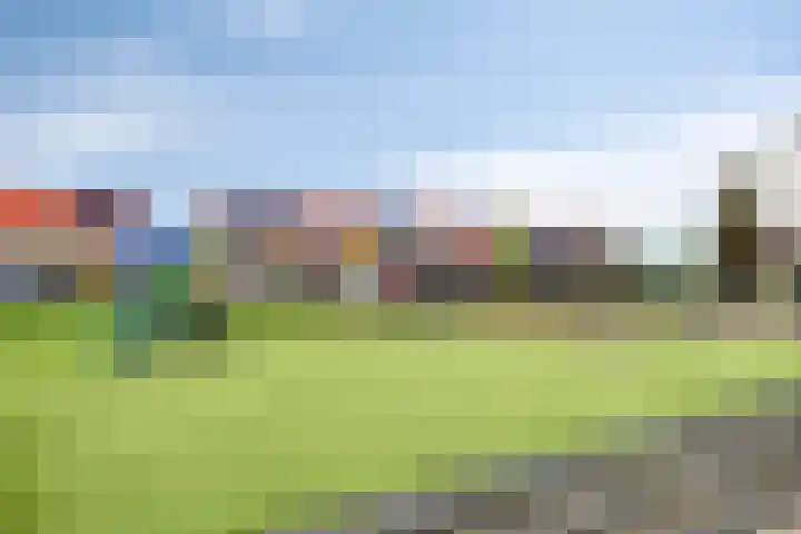 Wijngaard 67 Dronten thumbnail 50