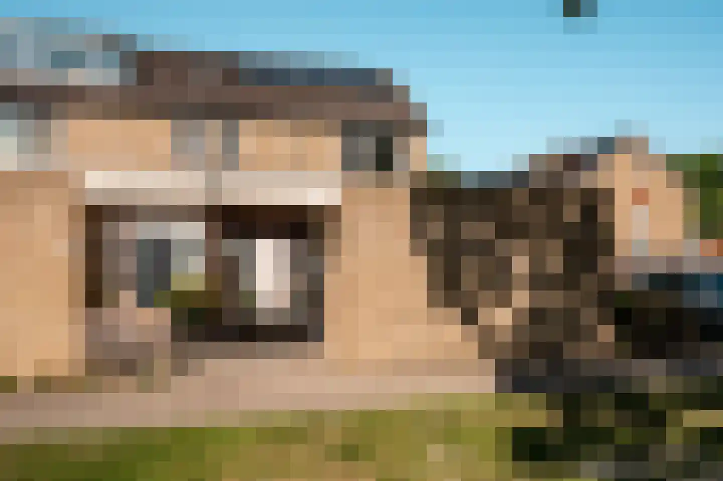 Wijngaard 68 Lelystad thumbnail 40