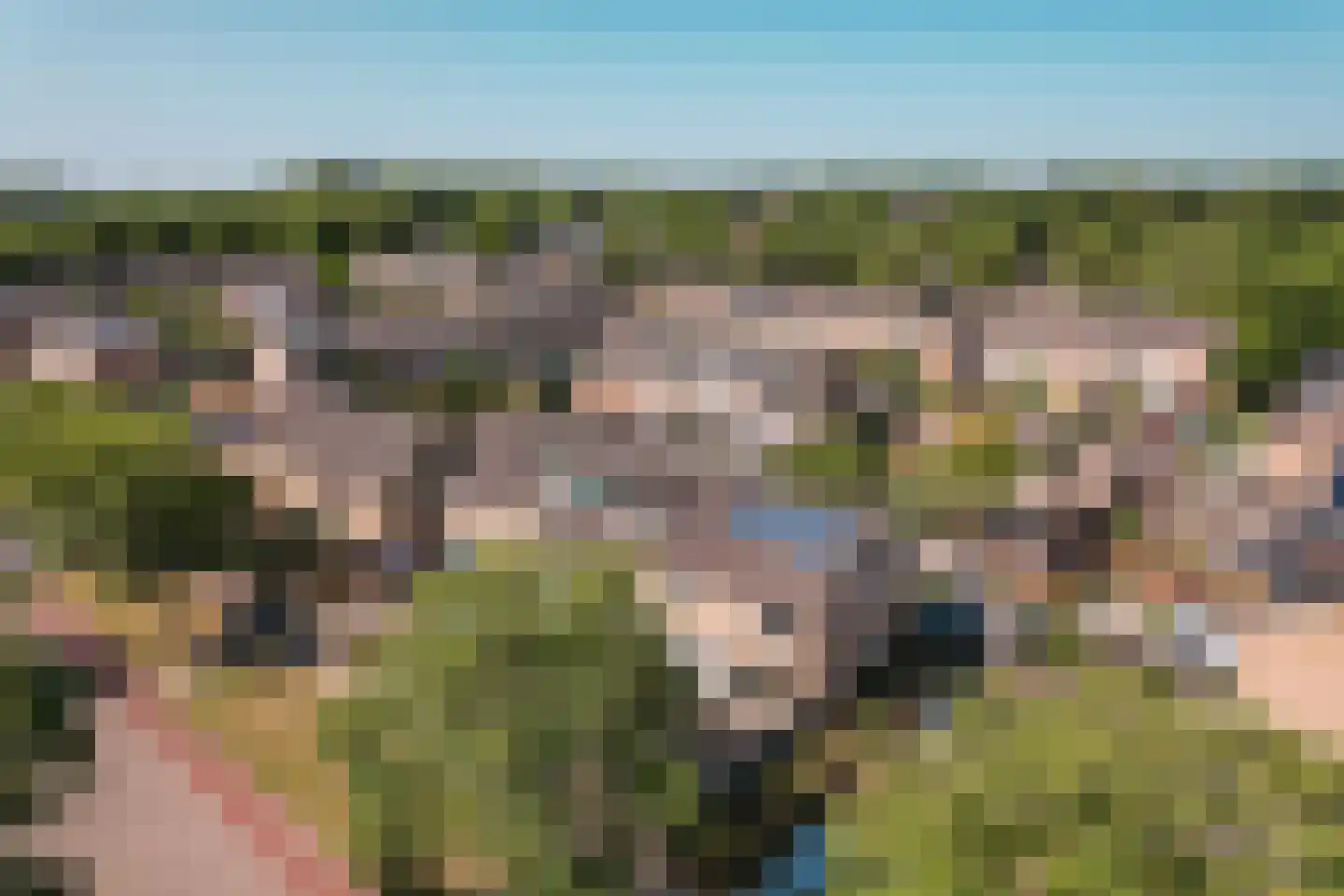 Wijngaard 68 Lelystad thumbnail 50