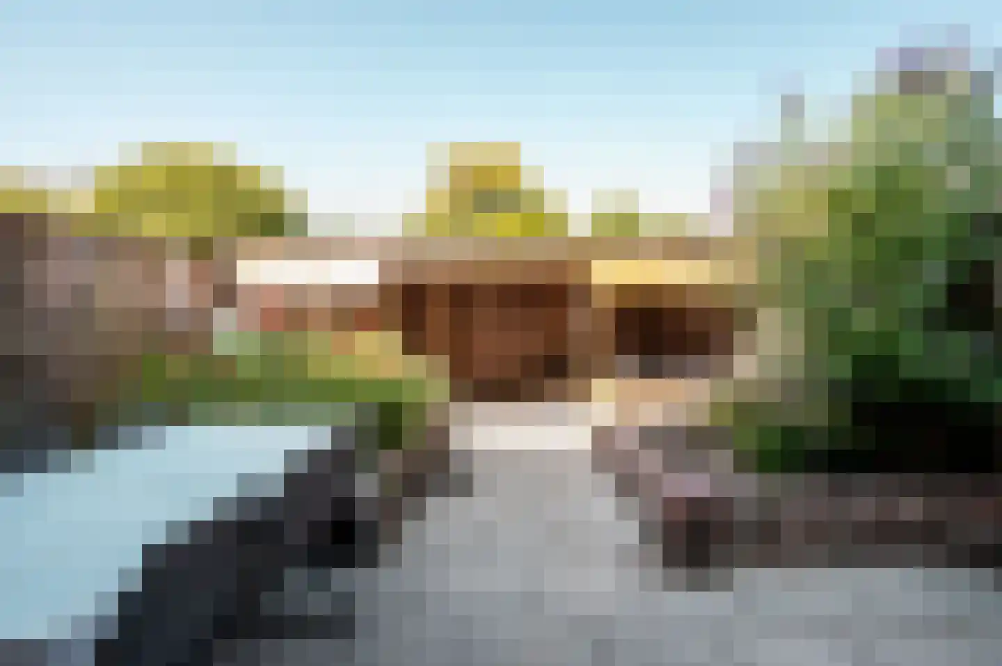 Wijngaard 68 Lelystad thumbnail 6