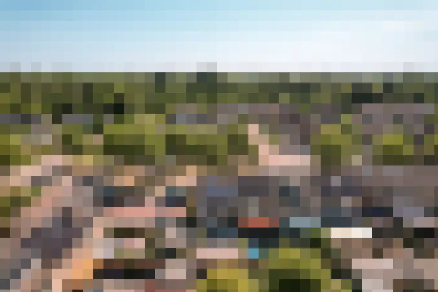 Wijngaard 68 Lelystad thumbnail 7