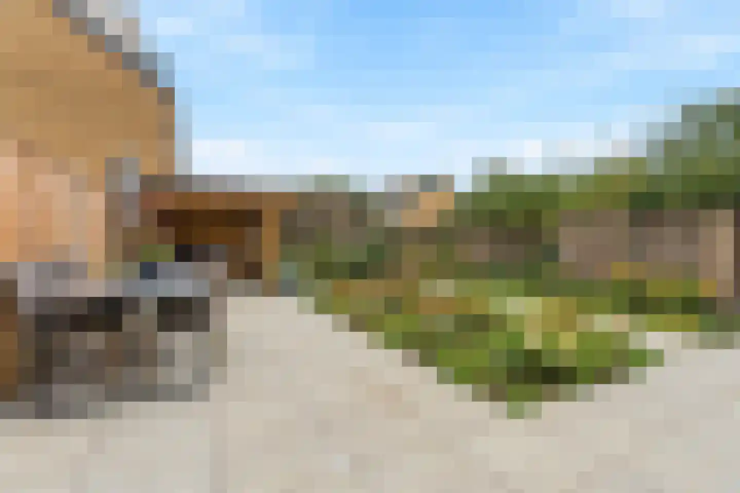 Wijngaard 98 Lelystad thumbnail 36