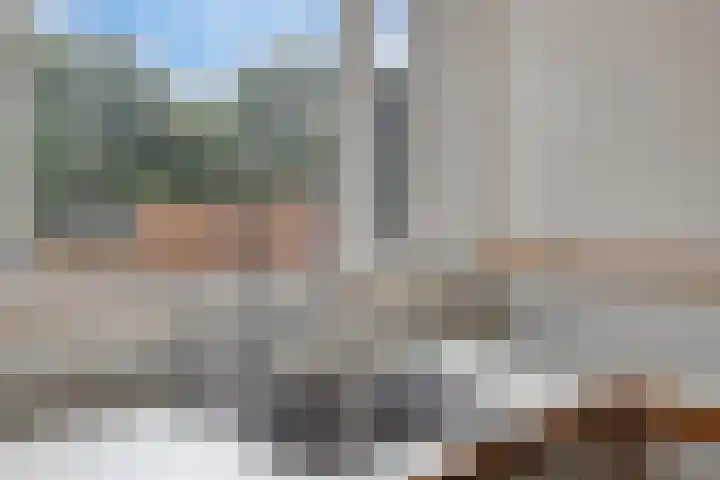 Wijngaarden 41 Huissen thumbnail 16