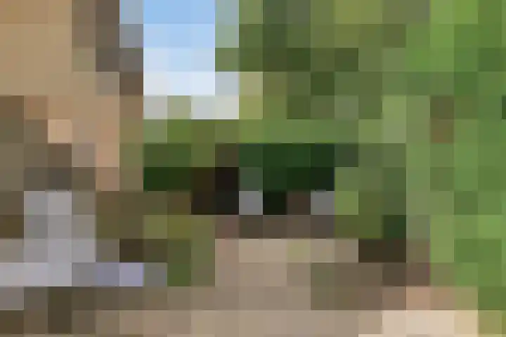 Wijngaarden 41 Huissen thumbnail 24