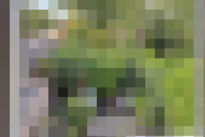 Wijngaarden 41 Huissen thumbnail 37