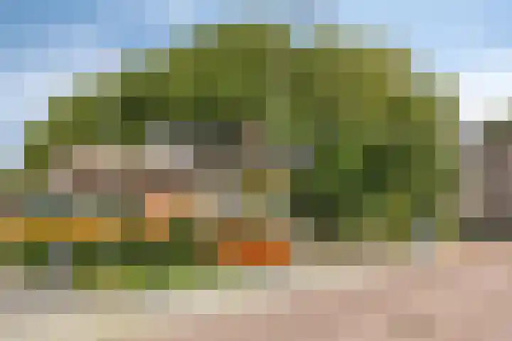 Wijngaarden 41 Huissen thumbnail 46