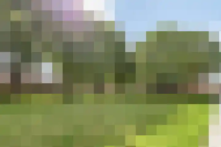 Wijngaarden 41 Huissen thumbnail 47