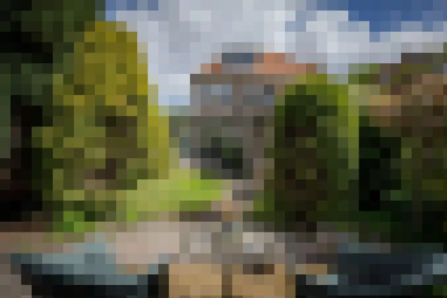 Wijngaardenlaan 125 Voorschoten foto 2