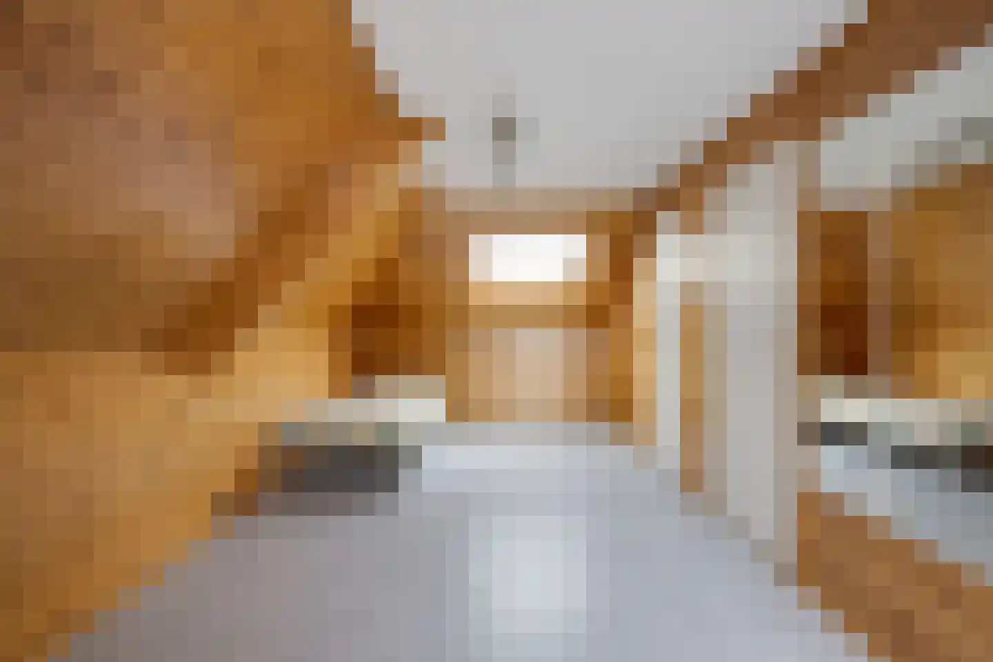 Wijngaardenlaan 125 Voorschoten thumbnail 30