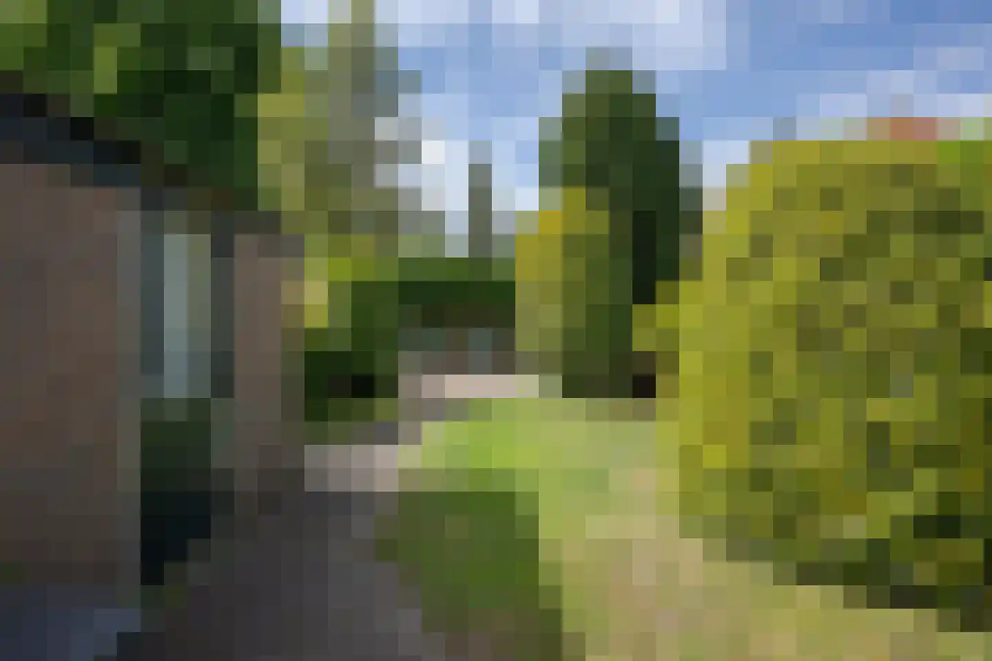 Wijngaardenlaan 125 Voorschoten thumbnail 35