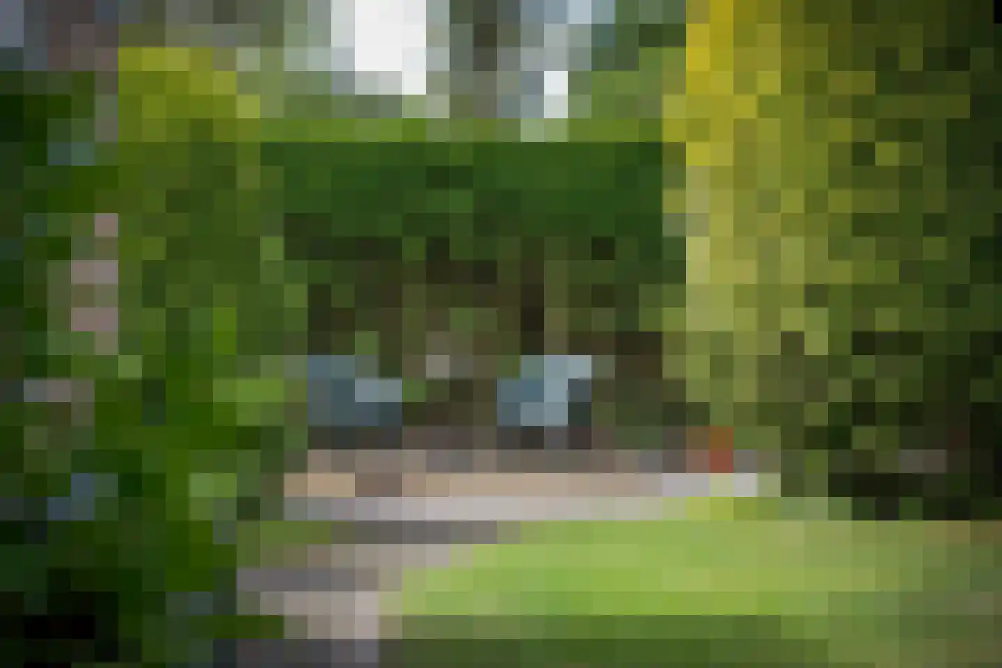 Wijngaardenlaan 125 Voorschoten thumbnail 36