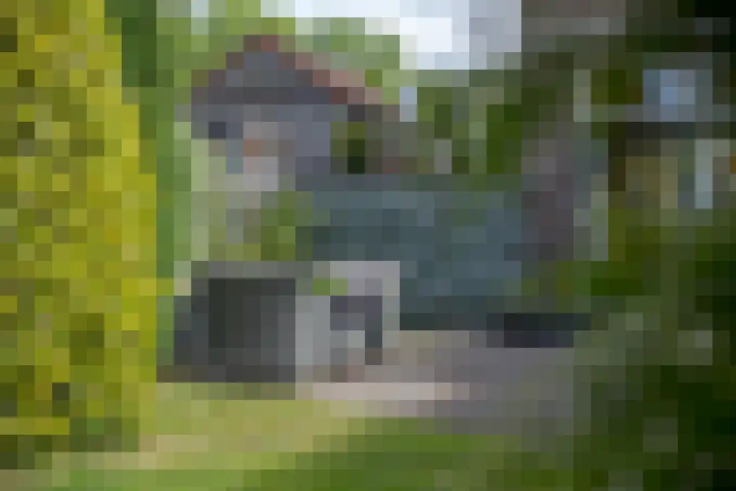 Wijngaardenlaan 125 Voorschoten thumbnail 39