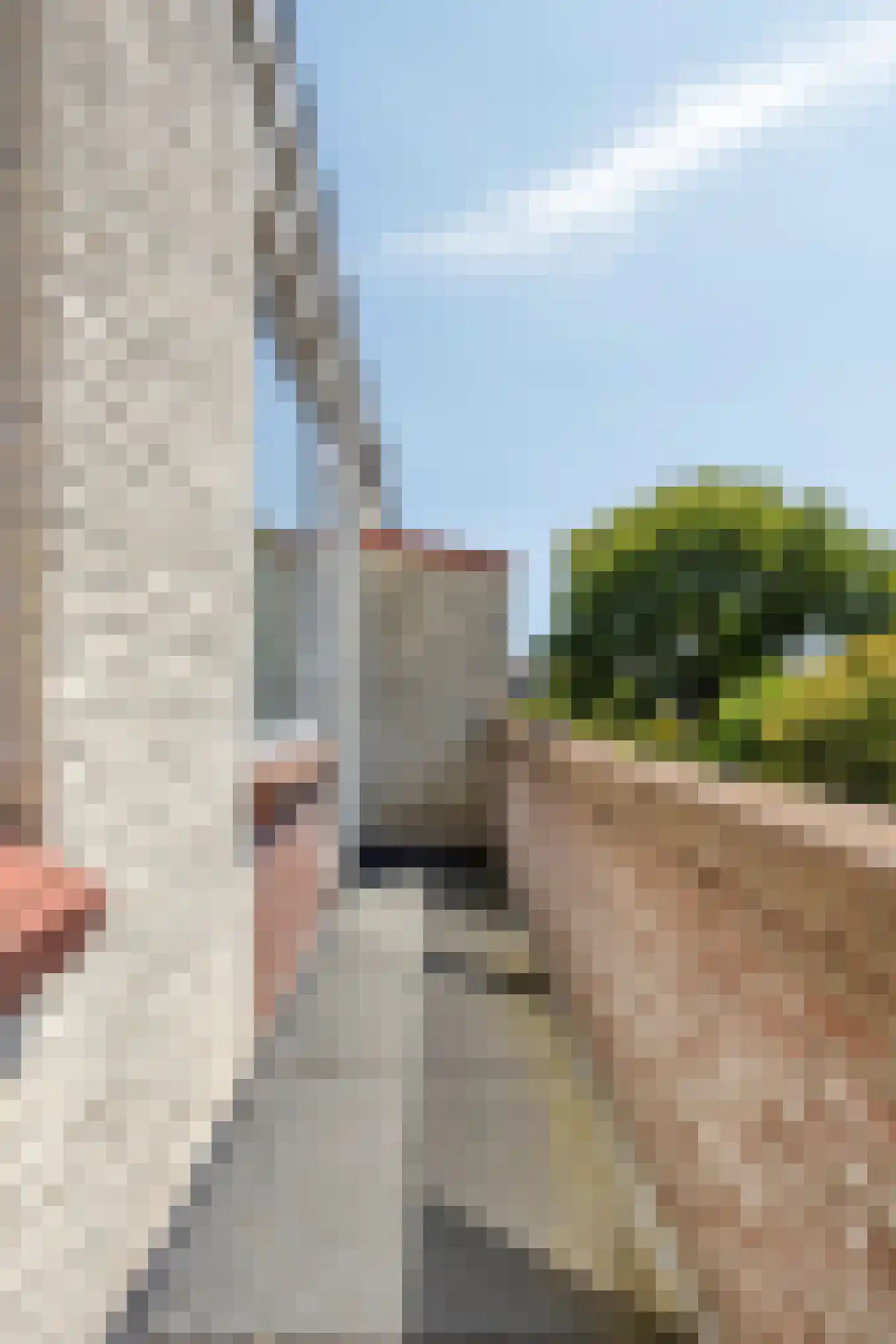 Wijngaardenlaan 33 Voorschoten thumbnail 22