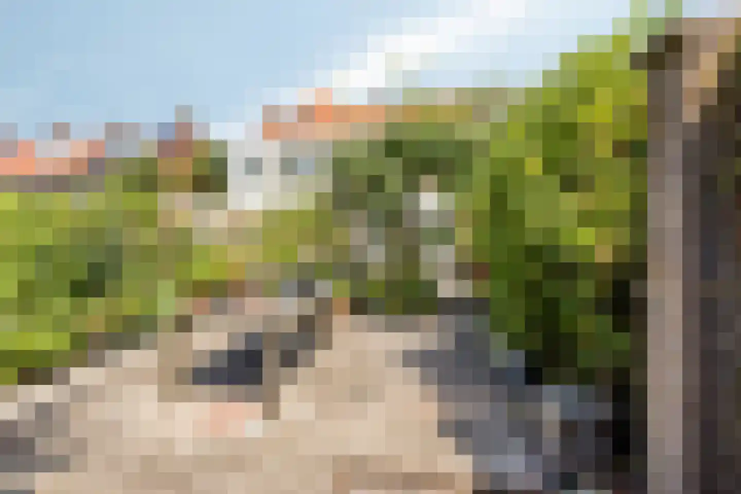 Wijngaardenlaan 33 Voorschoten thumbnail 40