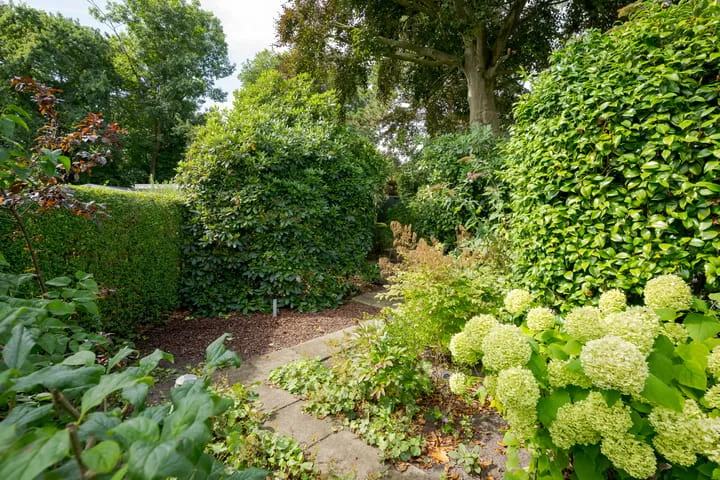 Wijngaardenlaan 55 Voorschoten thumbnail 37