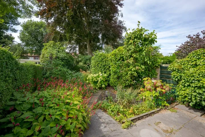 Wijngaardenlaan 55 Voorschoten thumbnail 5