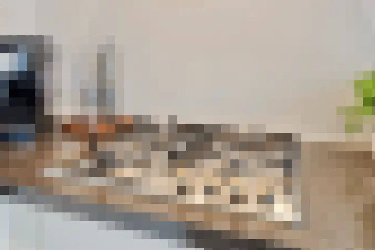 Wijngaardenlaan 8 Voorschoten thumbnail 20