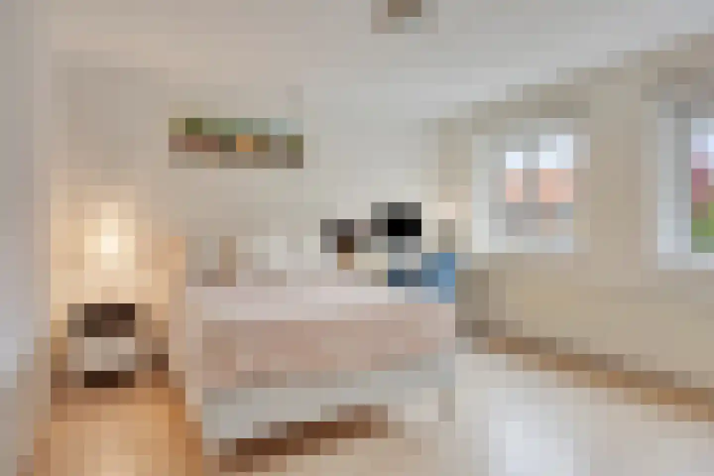 Wijngaardenlaan 8 Voorschoten thumbnail 31