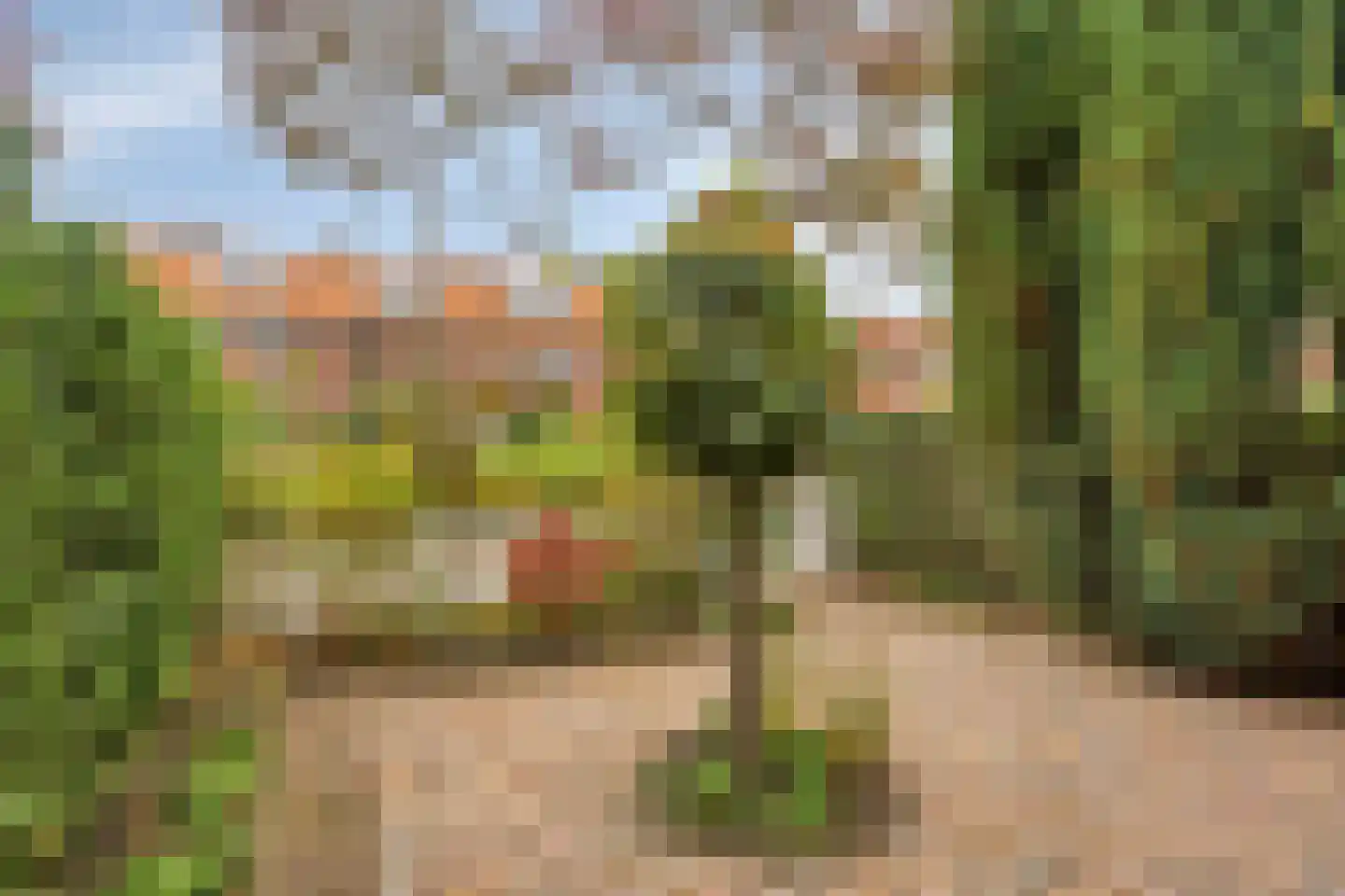 Wijngaardenlaan 8 Voorschoten thumbnail 5