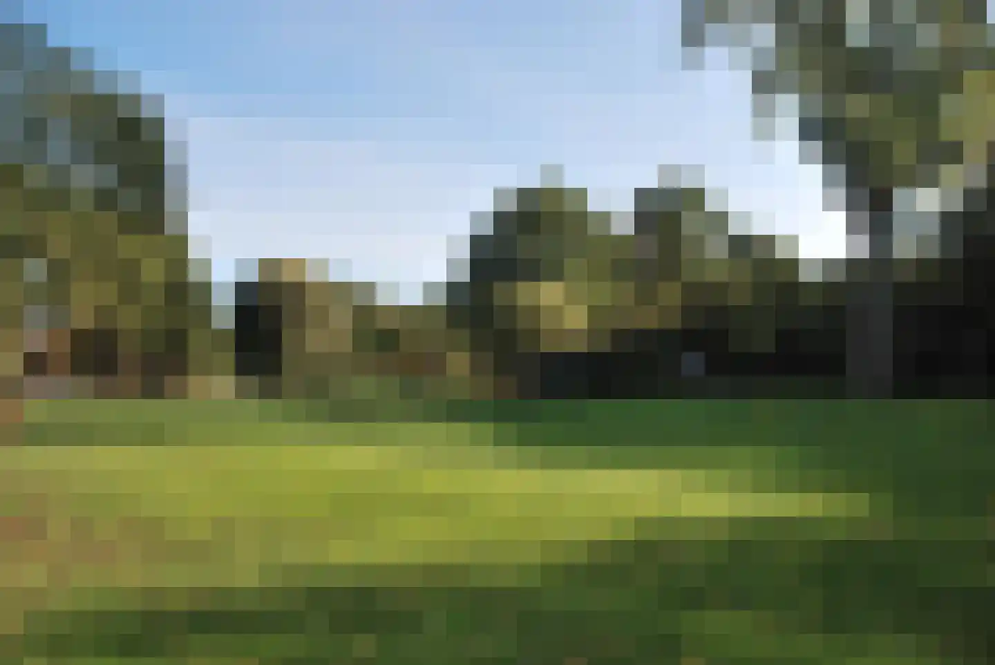Wijngaardenlaan 8 Voorschoten thumbnail 61
