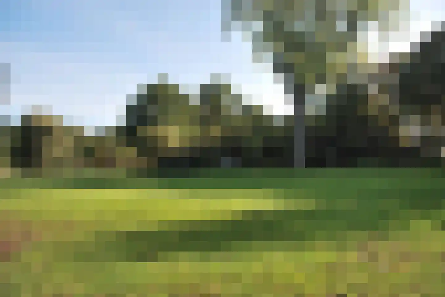 Wijngaardenlaan 8 Voorschoten thumbnail 64
