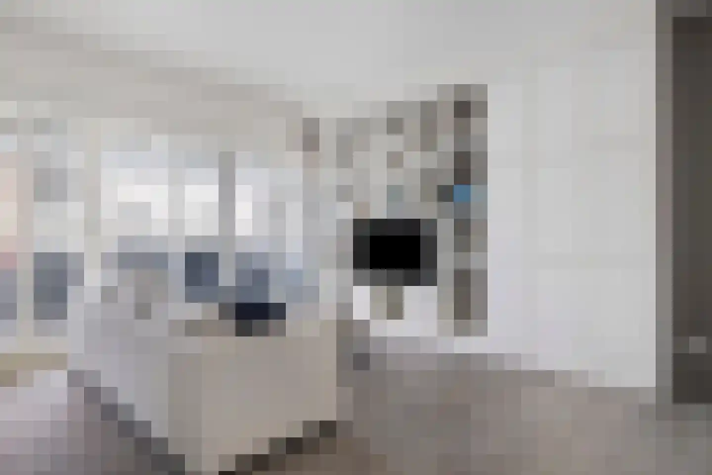 Wijngaardhof 16 Breda thumbnail 16