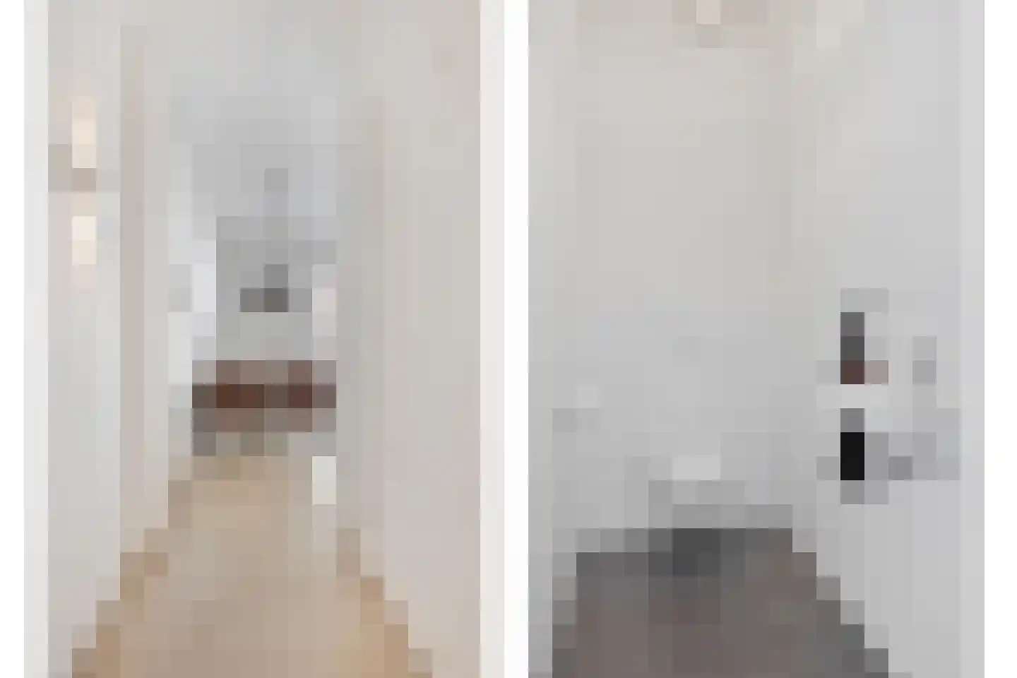 Wijngaardhof 16 Breda thumbnail 22