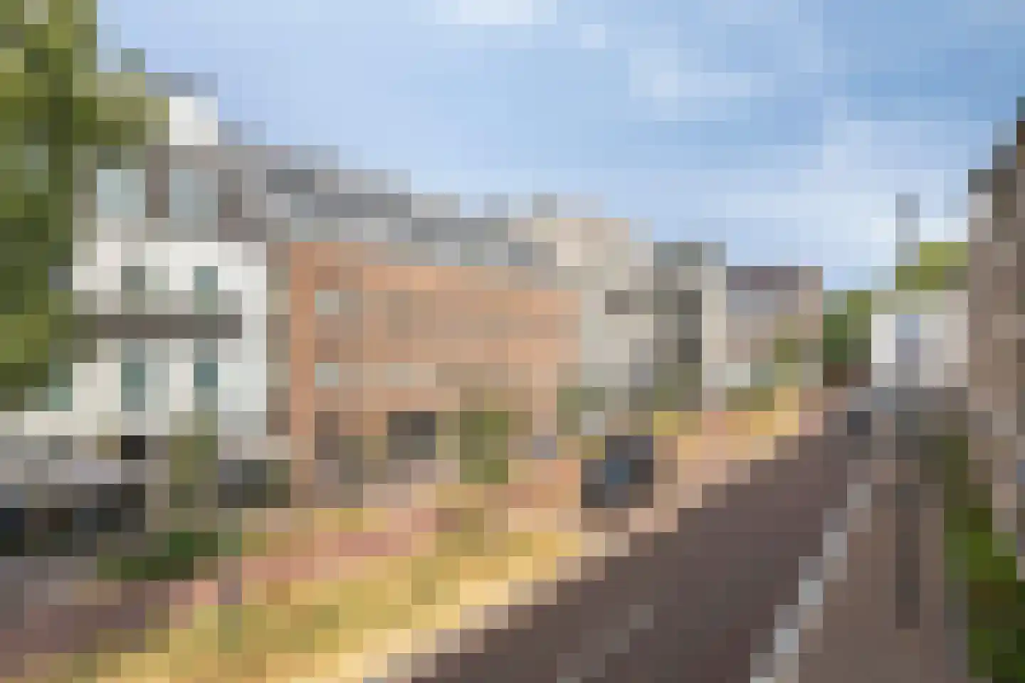 Wijngaardhof 16 Breda thumbnail 35