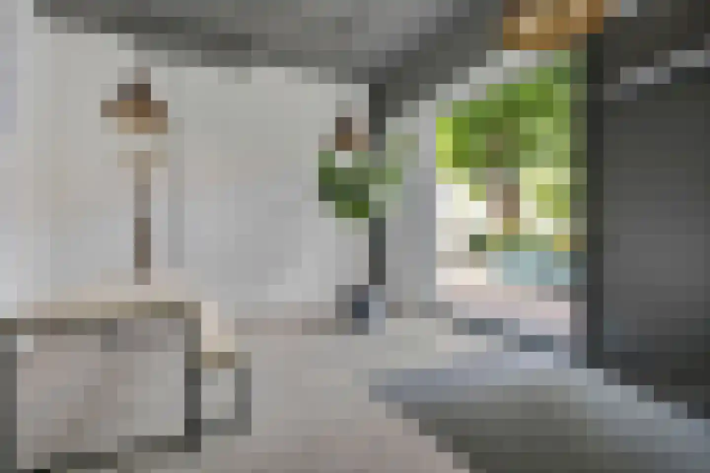 Wijngaardhof 16 Breda thumbnail 7