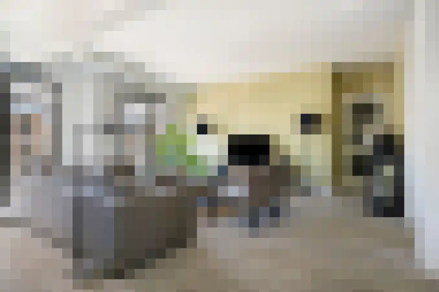 Wijngaardhof 20 Breda thumbnail 10