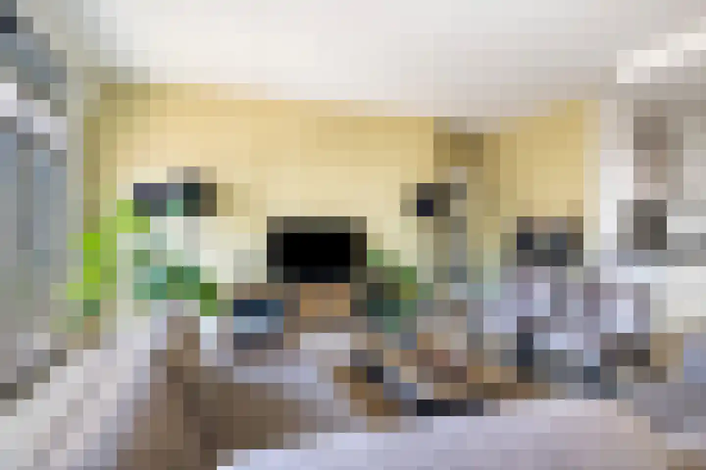 Wijngaardhof 20 Breda thumbnail 11