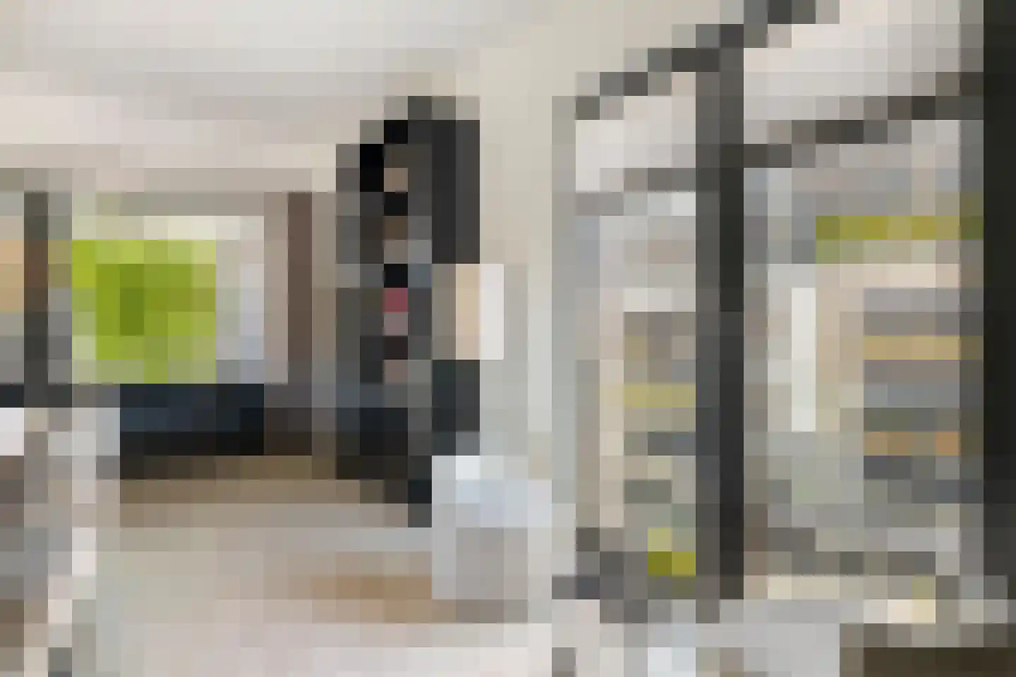 Wijngaardhof 20 Breda thumbnail 15