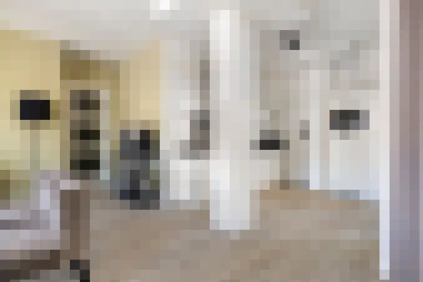 Wijngaardhof 20 Breda thumbnail 17