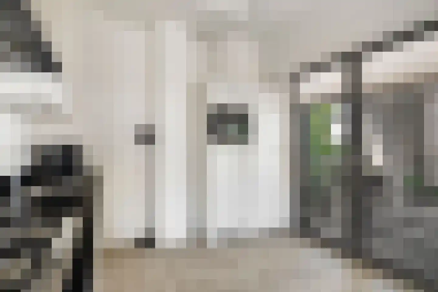 Wijngaardhof 20 Breda thumbnail 22