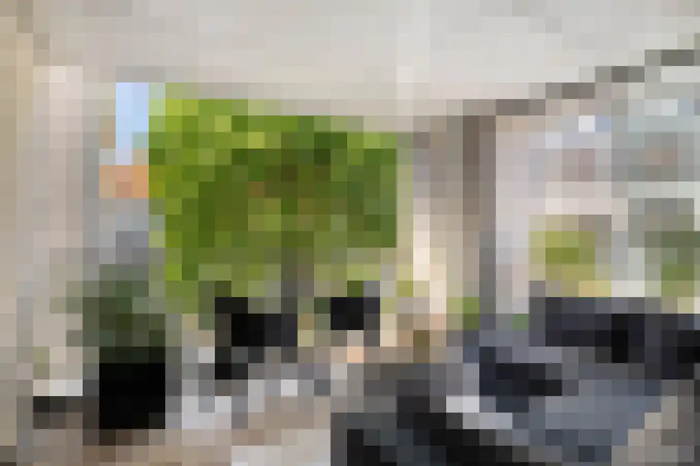 Wijngaardhof 20 Breda thumbnail 25