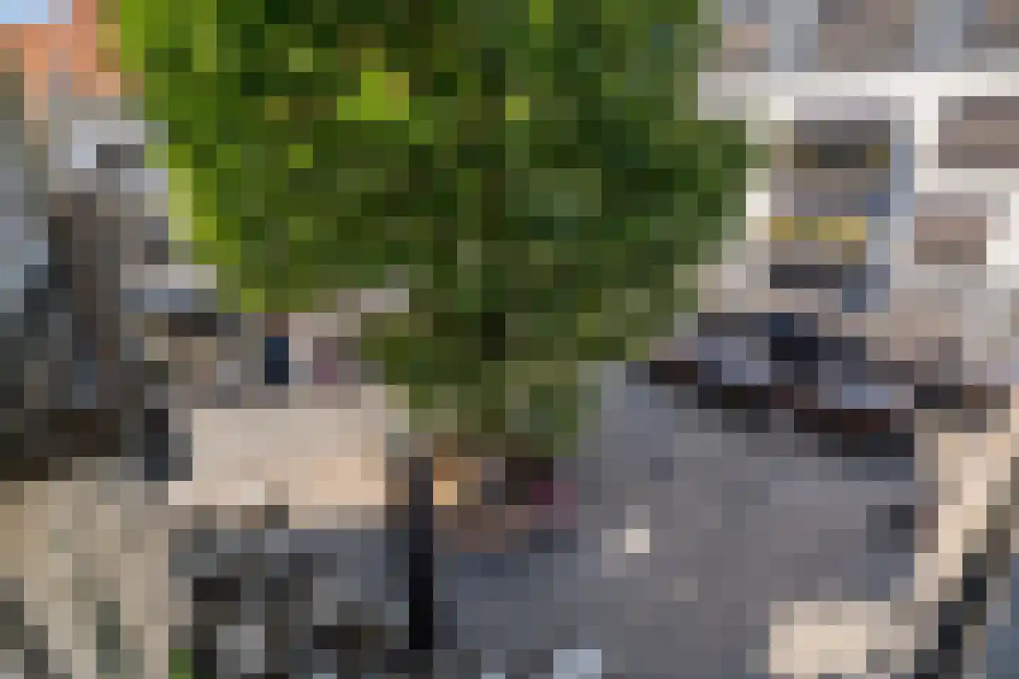 Wijngaardhof 20 Breda thumbnail 30