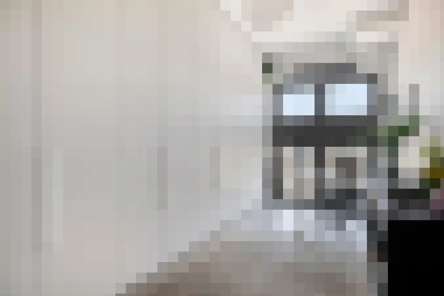 Wijngaardhof 20 Breda thumbnail 34