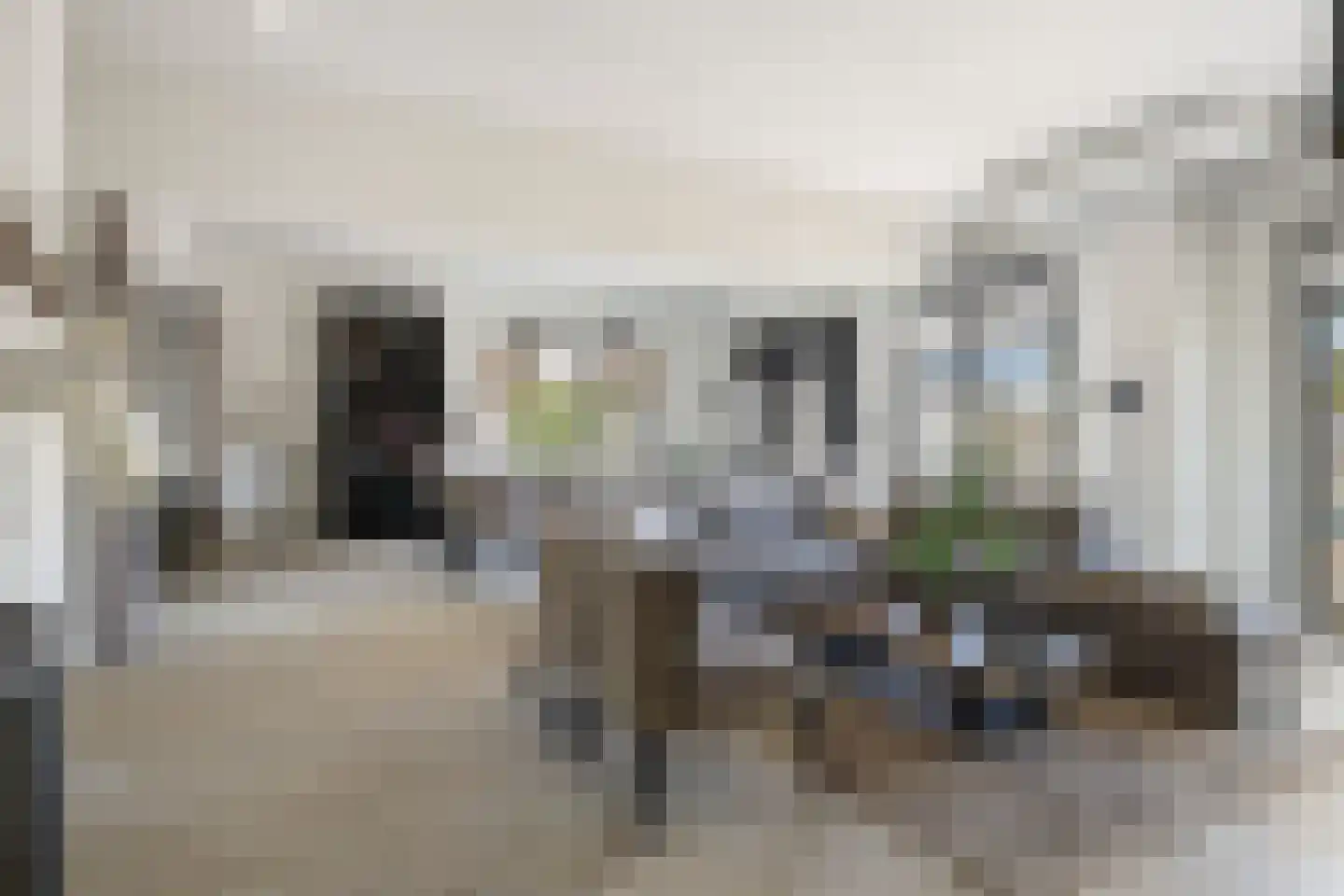 Wijngaardhof 20 Breda thumbnail 4